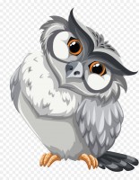 kisspng-owl-bird-coloring-book-drawing-eule-5b2d31edba3c73.8006752315296885577628.jpg